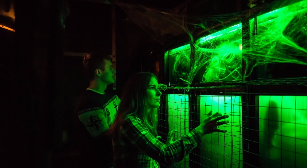 инкубо квест тула