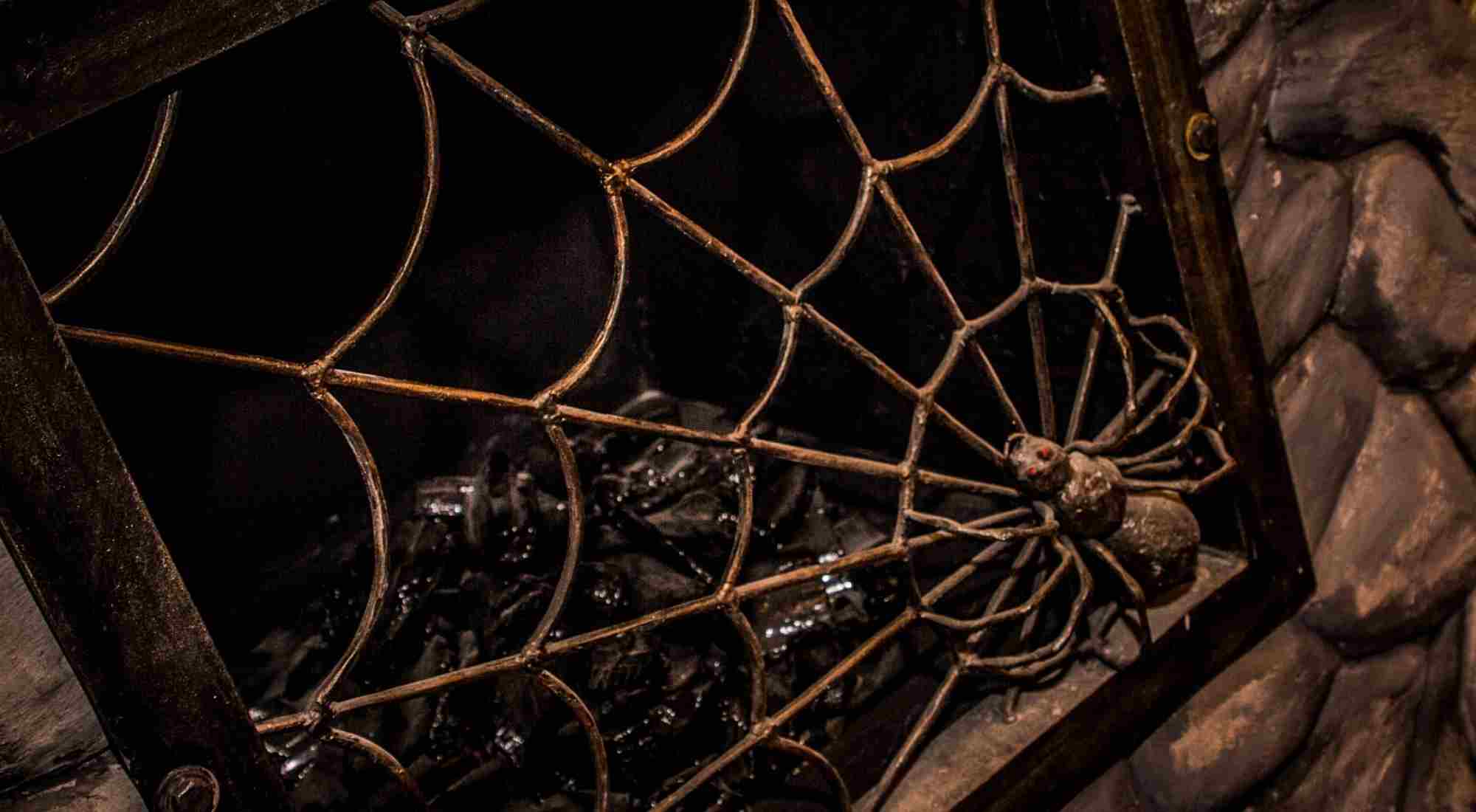 Фото квеста Тайна старого дома Тула Выход